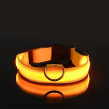 Nylon LED Night Safety Dog Leash