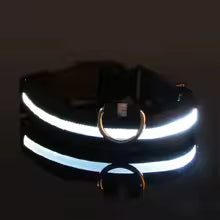 Nylon LED Night Safety Dog Leash