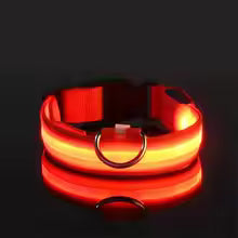 Nylon LED Night Safety Dog Leash